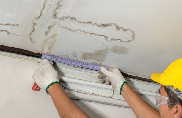 Reliable Mold Remediation contractor in Portland, MI by Local Water Damage Repair